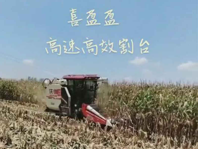 喜盈盈玉米專(zhuān)用割臺(tái)收割效果視頻