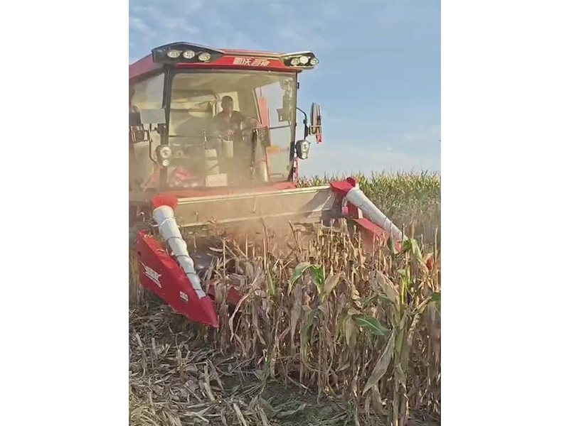 喜盈盈多功能雜糧割臺(tái)收割效果視頻