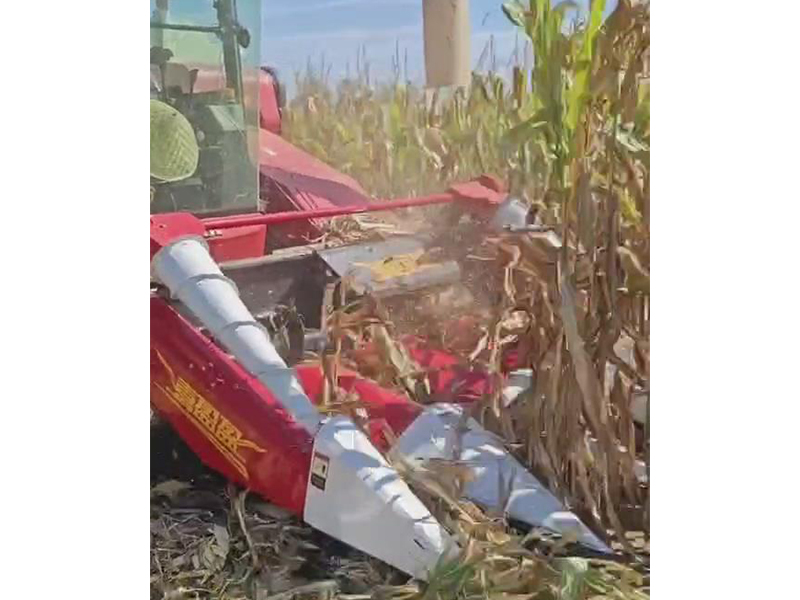 喜盈盈多功能雜糧割臺(tái)收割效果視頻