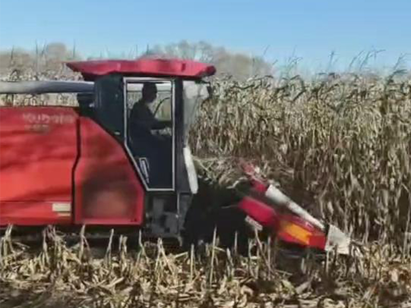 喜盈盈多功能雜糧割臺(tái)收割效果視頻